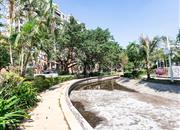 水晶之城-环境绿化