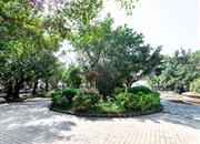 水晶之城-环境绿化