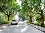 水晶之城-环境绿化