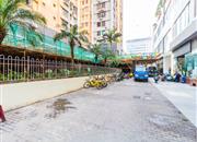 罗湖大厦-环境绿化