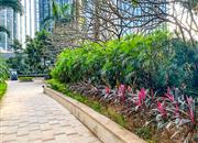 京基一百大厦-环境绿化