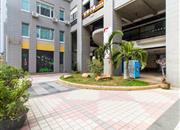 翠竹苑-环境绿化