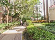 桂芳园（七期）-环境绿化