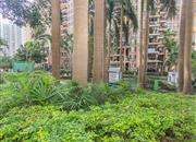 桂芳园（七期）-环境绿化