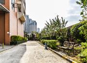 龙威花园（我爱我家）-环境绿化