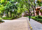 佳兆业可园（七期）-环境绿化