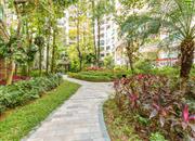 港中旅花园（一期）-环境绿化