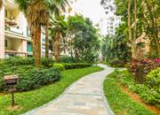 港中旅花园（一期）-环境绿化