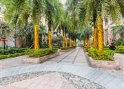 港中旅花园（一期）-环境绿化