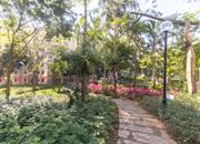 心怡花园-环境绿化