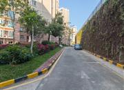 心怡花园-环境绿化