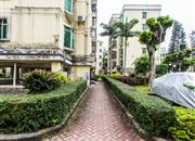 翡翠明珠花园-环境绿化