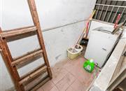 龙珠花园（A区）-阳台