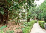 隆盛花园-环境绿化