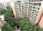 隆盛花园-俯瞰图