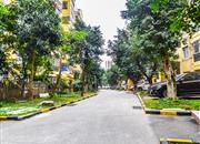 中加名园-环境绿化