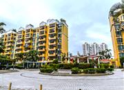 中加名园-环境绿化