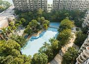 南海玫瑰园（三期）-俯瞰图