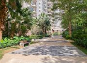 南海玫瑰园（三期）-环境绿化