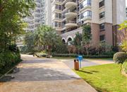 南海玫瑰园（三期）-环境绿化