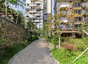 倚山花园（三期）-环境绿化