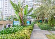 白金假日公寓-环境绿化