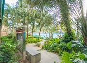 白金假日公寓-环境绿化