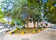 荣超花园-环境绿化