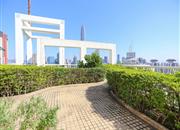 朗晴馨洲-环境绿化