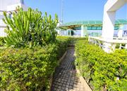 朗晴馨洲-环境绿化