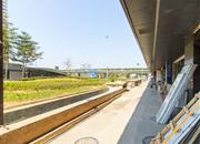 湖景大厦-环境绿化