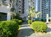 皇庭世纪花园-环境绿化