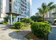 皇庭世纪花园-环境绿化