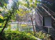 翠山花半里雅筑-环境绿化