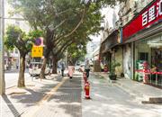 钻石时代-环境绿化