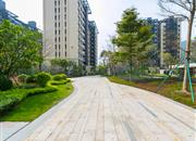 前海时代CEO公馆-环境绿化