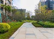 前海时代CEO公馆-环境绿化