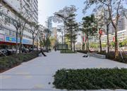 文华大厦-环境绿化