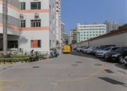 海丽大厦-环境绿化