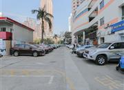 海丽大厦-环境绿化