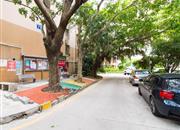 翠苑小区(罗湖)-环境绿化