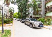 翠苑小区(罗湖)-环境绿化