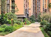 润科华府（一期）-环境绿化