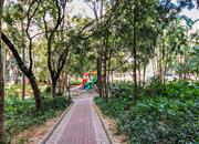 桃源居十三区-环境绿化