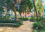 桃源居十三区-环境绿化