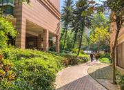 桃源居十三区-环境绿化