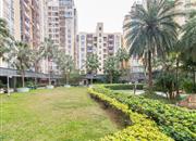 鹿茵翠地-环境绿化