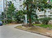 吉星花园(10栋吉祥阁)-环境绿化