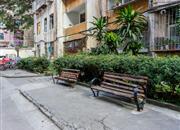 吉星花园(10栋吉祥阁)-环境绿化