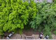 碧湖康馨园-俯瞰图